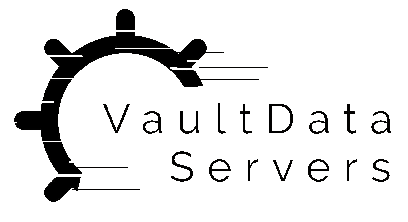 Vault Data Servers LLC logo